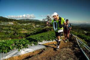 BIB: 
                            <button type="button" onclick="openModal(19123123)" class="btn btn-primary btn-sm float-right btn-popup" data-toggle="modal" data-target=".modal-high-quality">
                        <i class="fas fa-shopping-cart"></i> Add to Cart
                    </button>
                                            <button type="button" onclick="isThisMe(19123123, true)" class="btn btn-success btn-sm float-right btn-popup btn-isme hidden" data-toggle="tooltip" data-placement="bottom" title="นี่คือรูปของคุณใช่ไหม คลิกที่นี่เพื่อเอาเข้าอัลบั้ม">
                        <i class="fas fa-plus"></i> Add to album
                    </button>
                    <button type="button" onclick="isThisMe(19123123, false)" class="btn btn-warning btn-sm float-right btn-popup btn-isnotme hidden">
                        <i class="fas fa-ban"></i> Remove from album
                    </button>